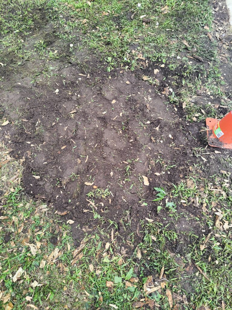 Helpful Saints Winona MN – Before & After Photos – Copy of IMG20250817095948
