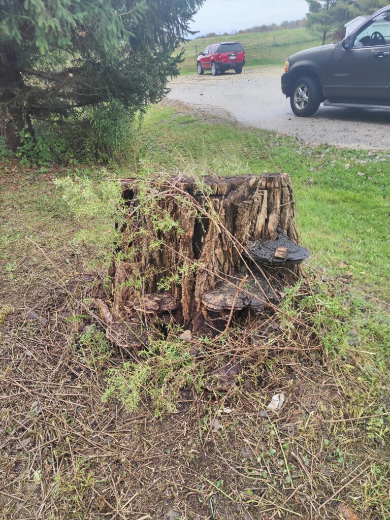 Helpful Saints Winona MN – Before & After Photos – Copy of IMG20251016093924