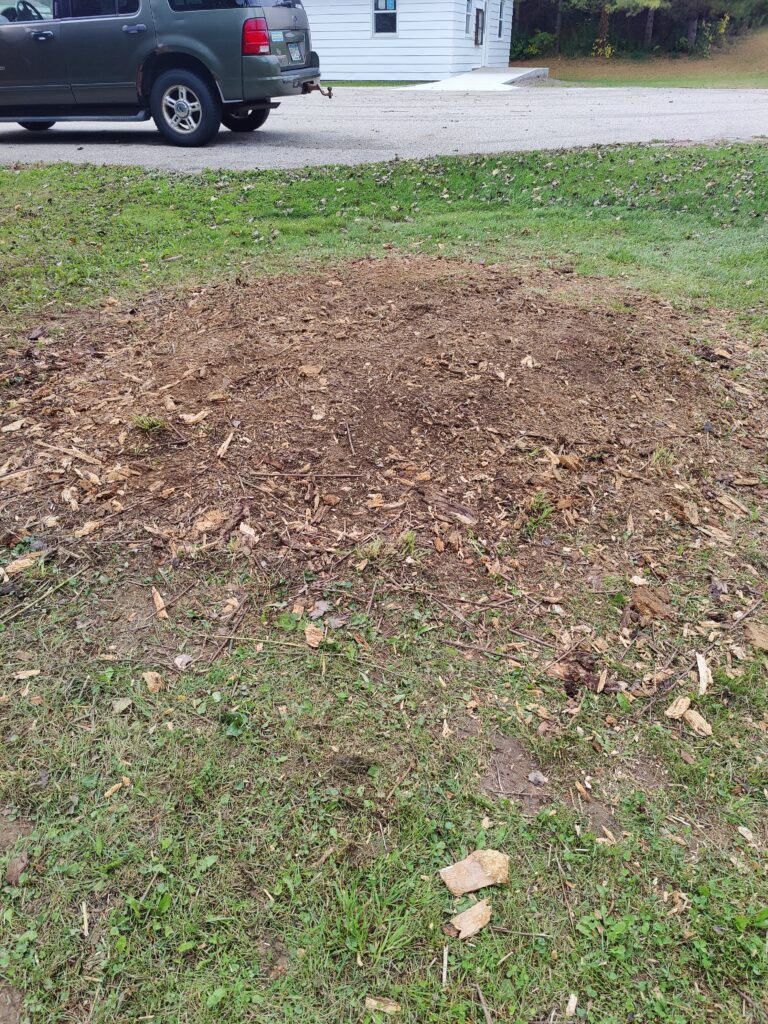 Helpful Saints Winona MN – Before & After Photos – Copy of IMG20251017135848