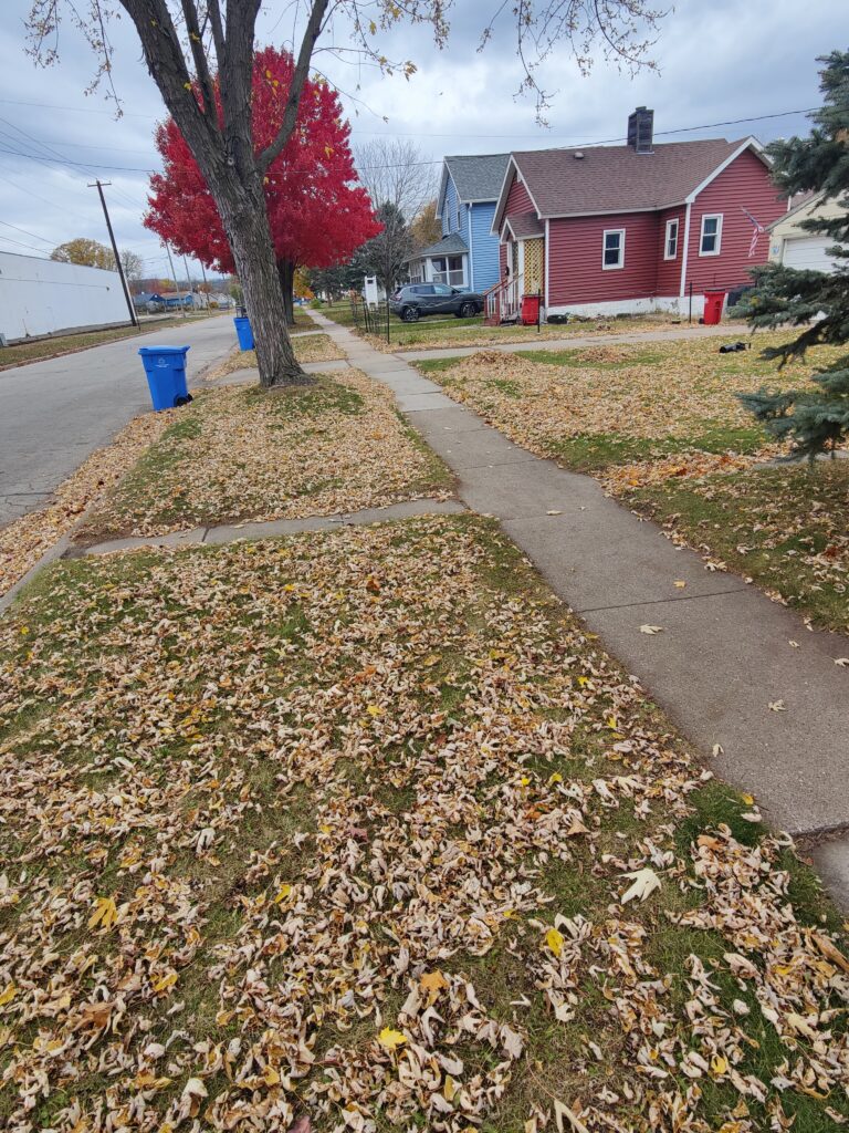 Raked Leaves WInona Minnesota