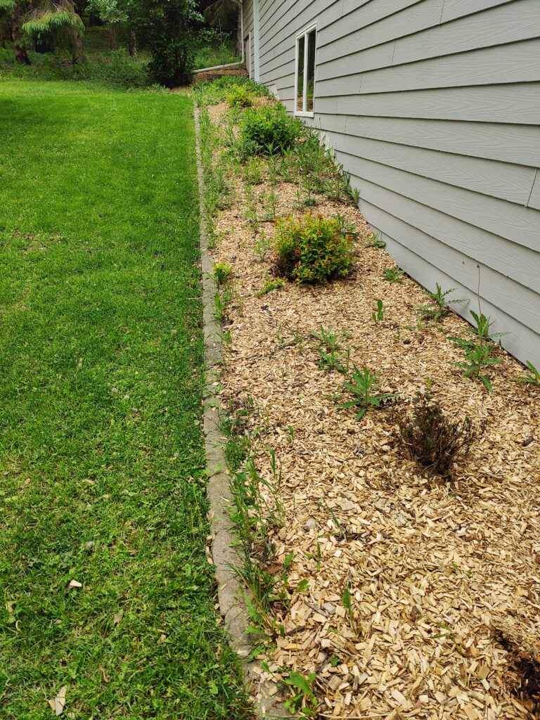Helpful Saints Winona MN – Before & After Photos – IMG20260522143059