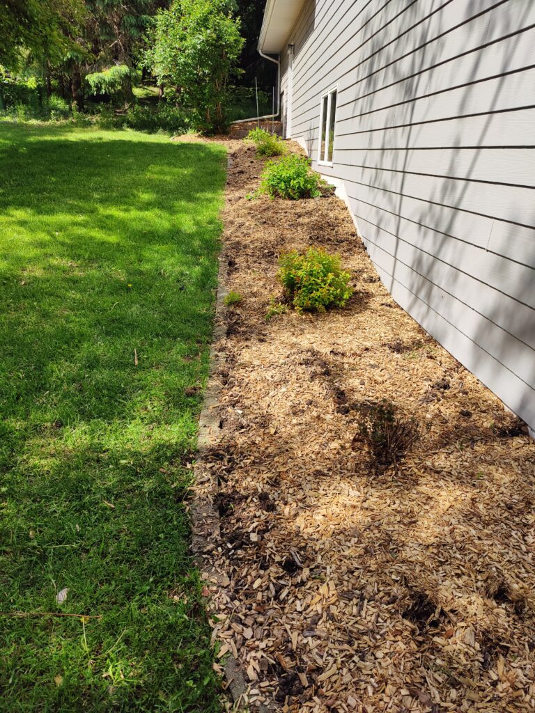 Helpful Saints Winona MN – Before & After Photos – Weeding Y2 1